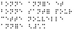 bonne annee en braille