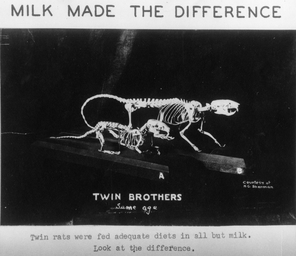 Milk made the difference. Twin rats were fed adequate diets in all but milk. Look at the difference