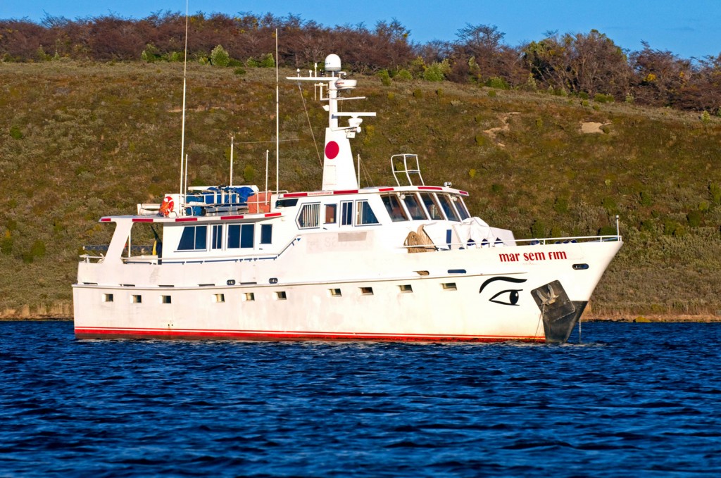  Antarctique Ardley Bay Mar Sem Fin