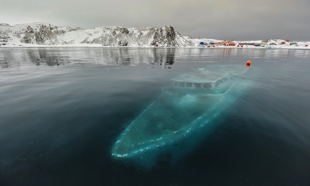  Antarctique Ardley Bay Mar Sem Fin