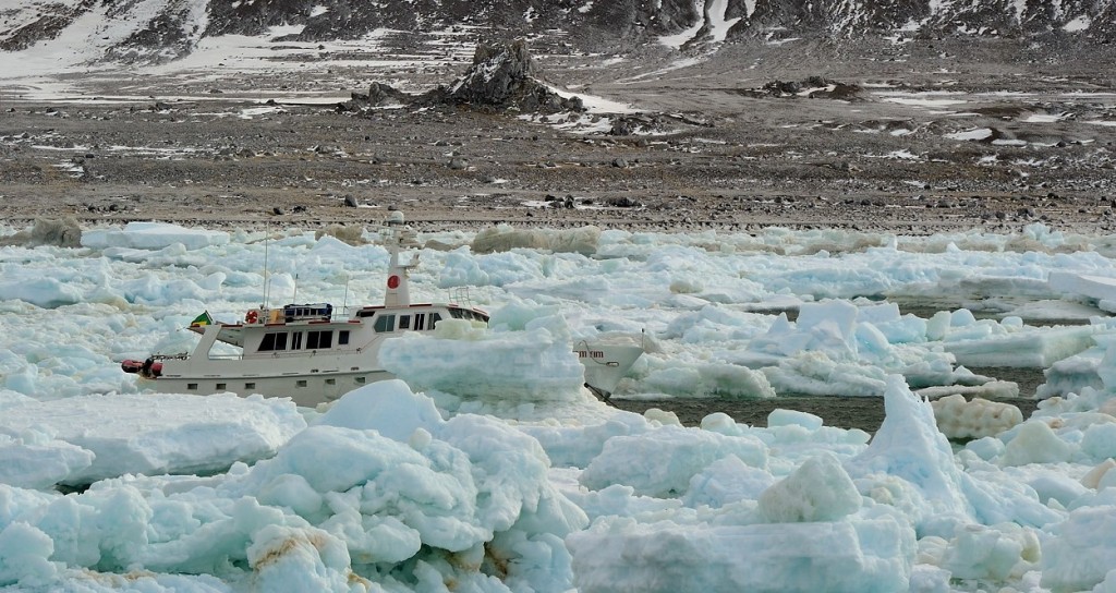  Antarctique Ardley Bay Mar Sem Fin