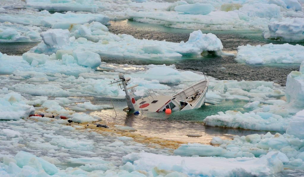  Antarctique Ardley Bay Mar Sem Fin