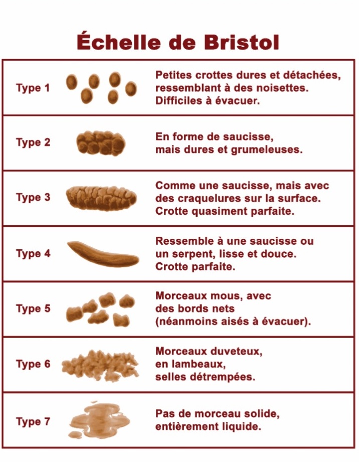 caca selon echelle de bristol